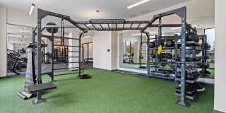 The Hallon Gallery 67