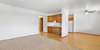 Don Quixote Gallery 13