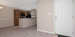 Park Lake — 1 Bed / 1 Bath + Den | Upstairs Condo | Brandon, FL Gallery 6