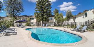 University Plaza Gallery 15