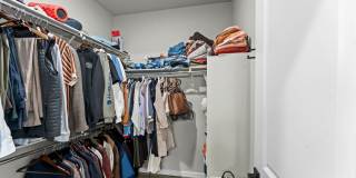 8067 Grey Bark Way Gallery 24
