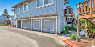 3145 Shofner Pl Gallery 1