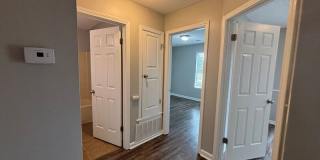 9532 Chi Chi Cv Gallery 21