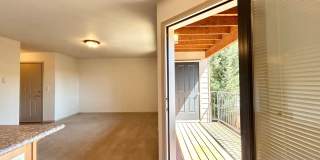 Johnson Street Apartments - Two Bed, One Bath Units Available Now! Gallery 9