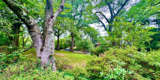 Spacious 6 bedroom 3.5 bath Tudor Townhouse w/Deck close to Georgetown University & Hospital Gallery 67