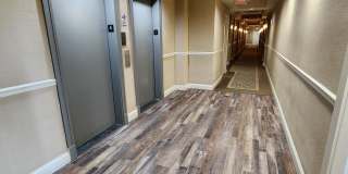 Convent Gardens Gallery 33