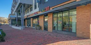 Cameron Square Gallery 32