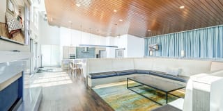 Spruce Gallery 5