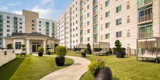 The Cosmopolitan Apartments Gallery 15