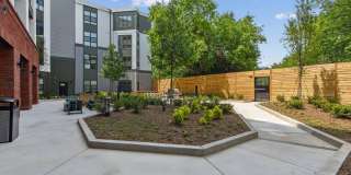 Centro NoDa Gallery 14