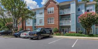Mallard Glen Gallery 40