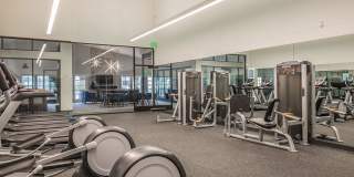 Club Pacifica Gallery 17