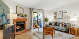 Sofi Belmar Gallery 6