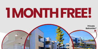 Paloma Village Gallery 1