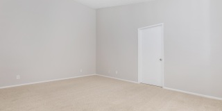 Mountain Springs Gallery 15