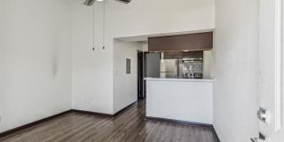 The Papillion Gallery 3