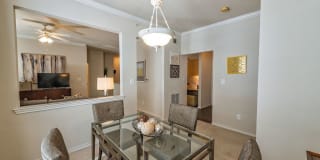 Ascent North Gallery 9