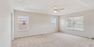 New Rental! Gallery 26