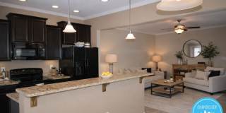 9816 Precious Stone Dr Gallery 3