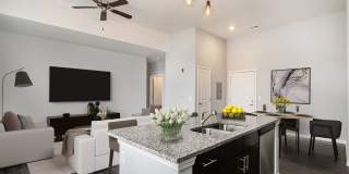 Parkway Flats Gallery 4