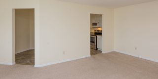 Chestnut Hill North Apartments Chestnut Hill North Apartments Gallery 38
