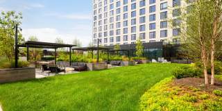 The Noble Gallery 14