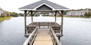 Odyssey Lake Apartments Gallery 41