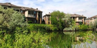 Lambertson Farms Apartments Gallery 24