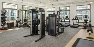 The Dorsey by Alta Gallery 35