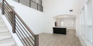 1059 Lime Gruene Gallery 1