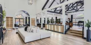 The Orion The Orion Gallery 15