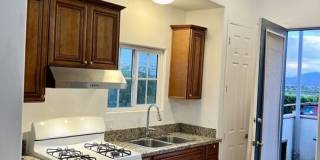 31305 Desert Moon Dr Gallery 14