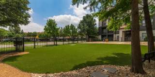 Cortland MacArthur Gallery 20