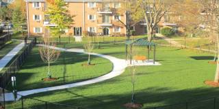 Lakehaven Gallery 19