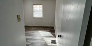 250 Basswood Avenue - 4 250 Basswood Avenue - 4 Gallery 2