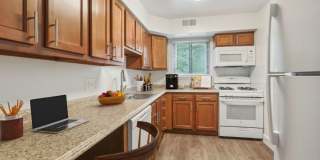 Hamilton Springs Gallery 2