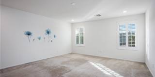 5741 Mia Skye Street Gallery 9