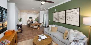 Town Kennesaw Gallery 43