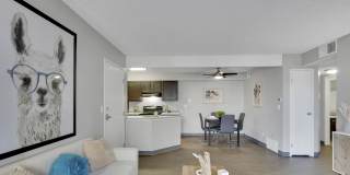 Velo Apartments Gallery 21