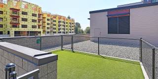 Terrace Station Gallery 46