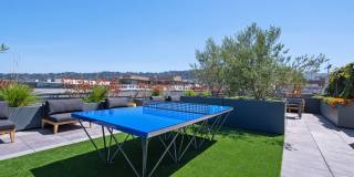 The Addison Berkeley Gallery 11