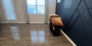 3647 Water Mist Lane Gallery 1