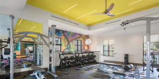 CALIXA Apartment Homes Gallery 15