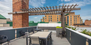 The Phoenix Gallery 16