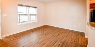 324 Falling Water Lane Gallery 2