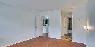 8888 Tallwood Dr Unit #2206, Austin, TX 78759 Gallery 14