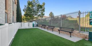 Avalon Vista Gallery 27