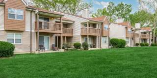 Sussex Downs Gallery 53