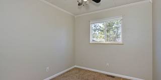 Large 4 bedroom 3bath Home in Colorado Springs Gallery 8