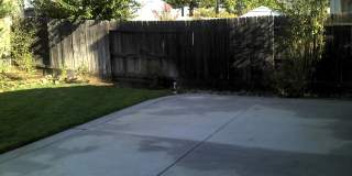 Single Story 1700sqft Rocklin Single Story, 3 bedroom, 2 baths-Gardner, Walking distance shopping Gallery 25